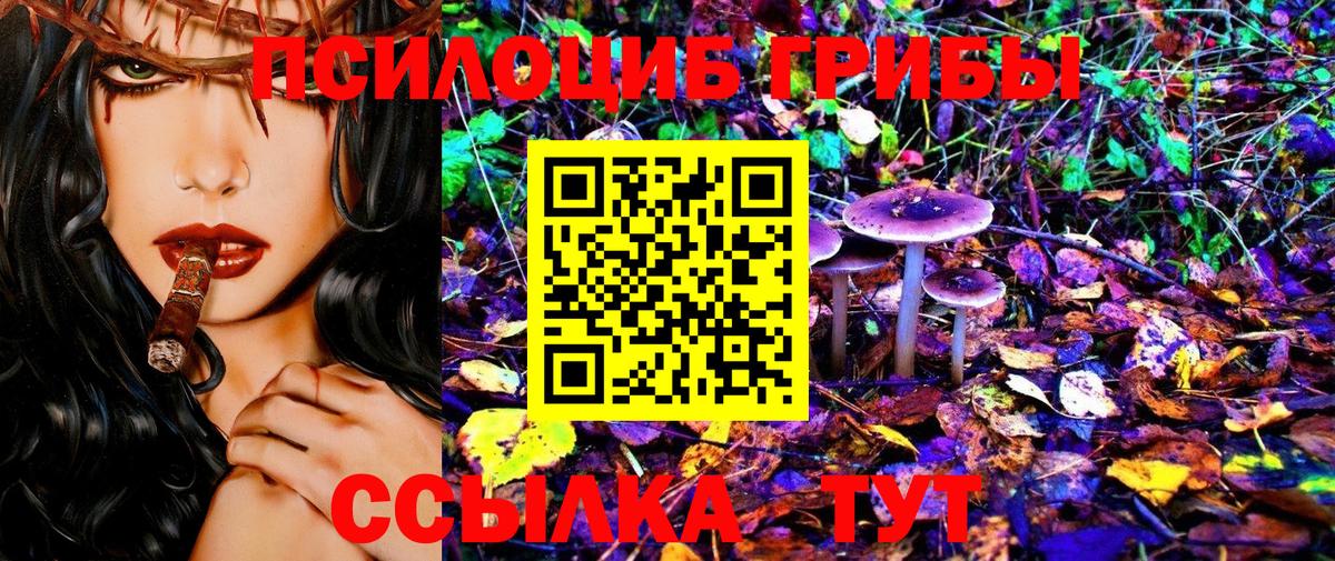 как найти закладки  Галлюциногенные грибы Psilocybe  Вход с VPN  Ачхой-Мартан 