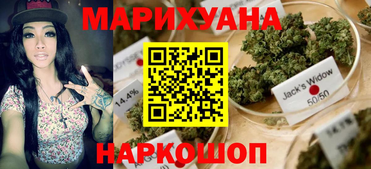 Каннабис конопля Ачхой-Мартан
